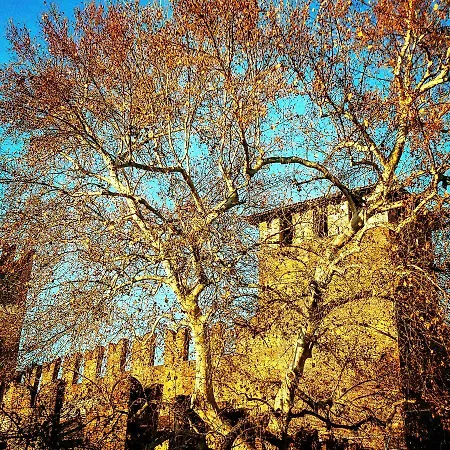 Casa Fola - Centre بيت ضيافة 2*